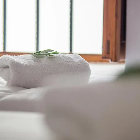 شقة فندقية Aenaon Estate 1896 By K&k